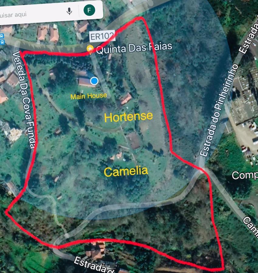 Quinta Das Faias Camacha  Εξωτερικό φωτογραφία
