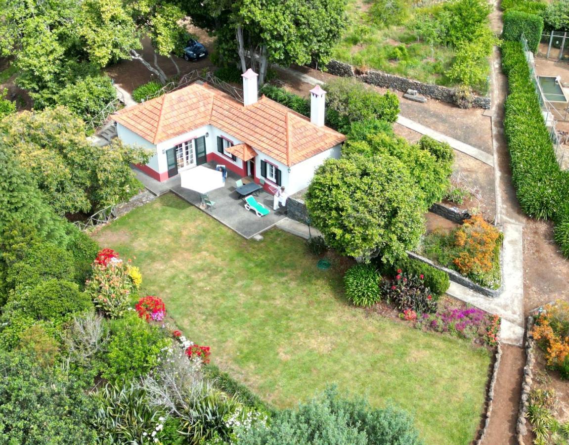 Quinta Das Faias Camacha  Εξωτερικό φωτογραφία