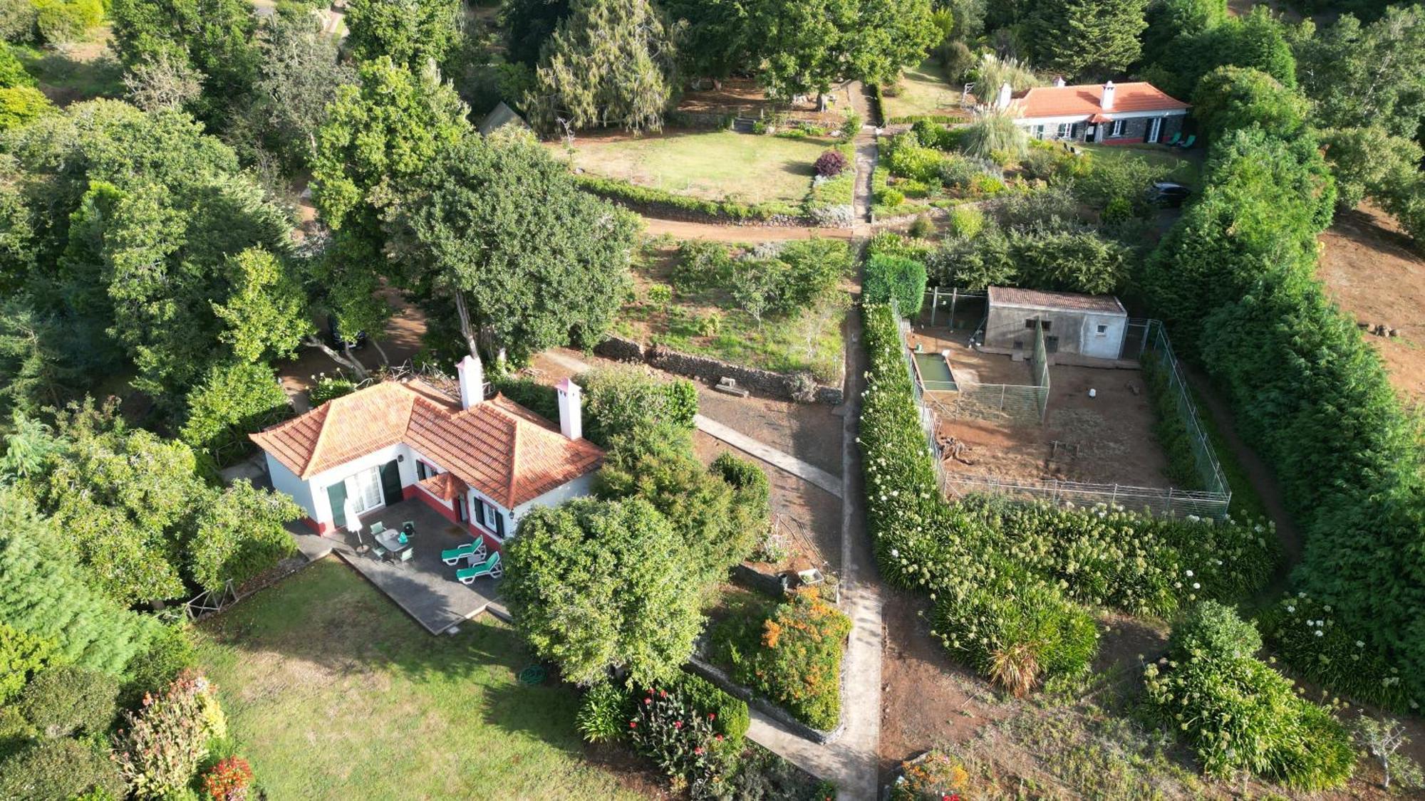 Quinta Das Faias Camacha  Δωμάτιο φωτογραφία