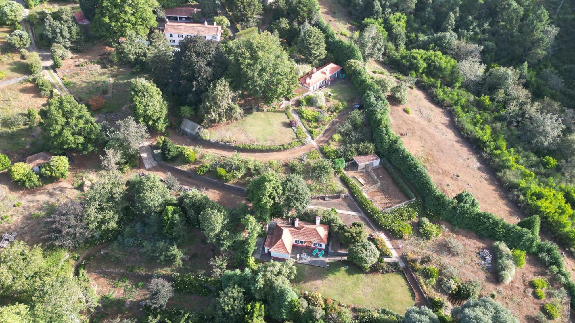 Quinta Das Faias Camacha  Εξωτερικό φωτογραφία