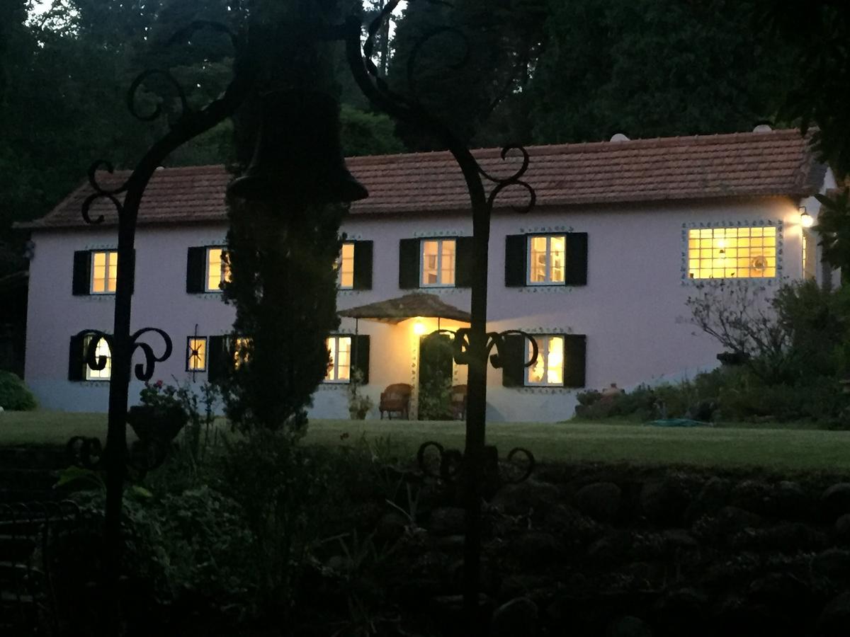 Quinta Das Faias Camacha  Εξωτερικό φωτογραφία