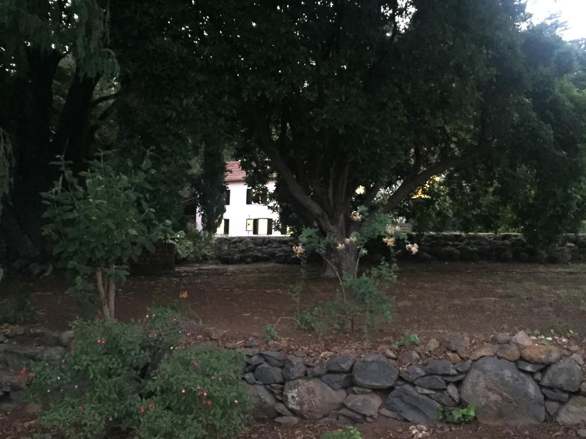Quinta Das Faias Camacha  Εξωτερικό φωτογραφία